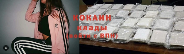 стафф Надым