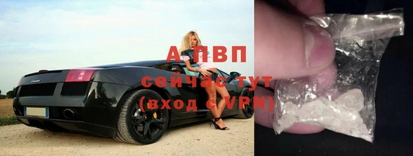 стафф Надым