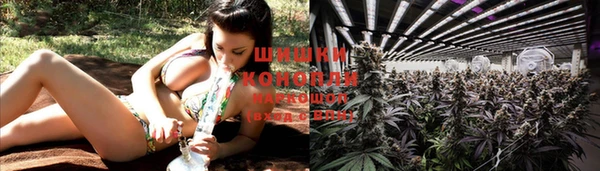 ешки Михайловск