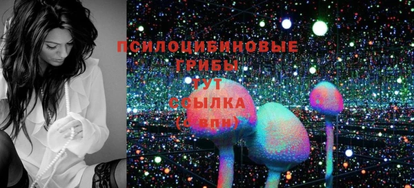 ECSTASY Михайловка