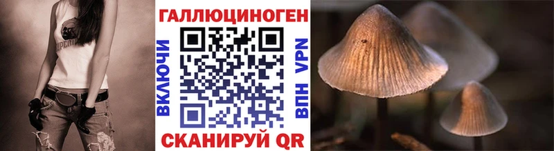 Галлюциногенные грибы Psilocybine cubensis наркота Кедровый