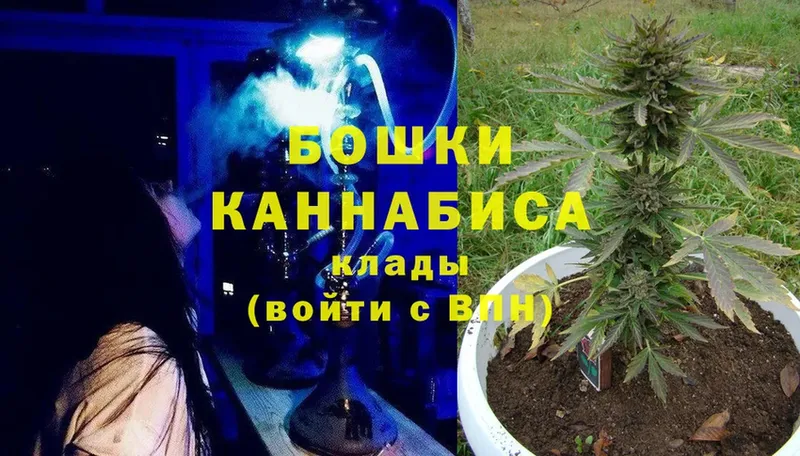 мориарти Telegram  Кедровый  Канабис LSD WEED 